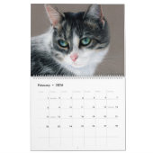 Handgezeichnete Katzen Wildtiere und Haustiere Kalender (Feb 2026)