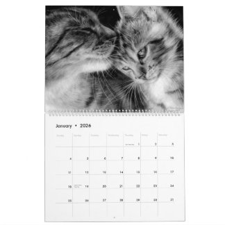 Handgezeichnete Katzen Wildtiere und Haustiere Kalender