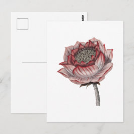 Handgezeichnete Lotus-Illustration  Postkarte