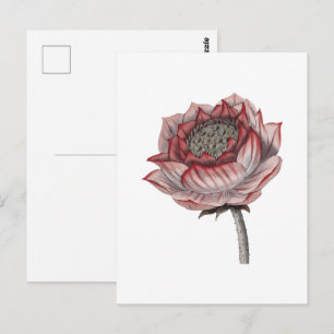 Handgezeichnete Lotus-Illustration Postkarte
