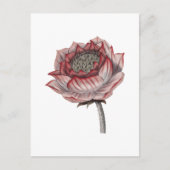Handgezeichnete Lotus-Illustration Postkarte (Vorderseite)