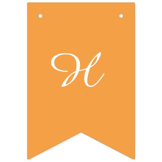 Handgezeichnete Orangen Glücklich Birthday Jagd Fa Wimpelkette (Zweite Fahne)