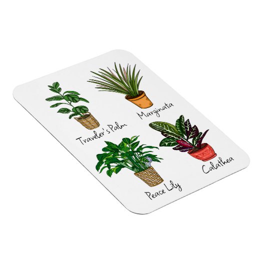 Handgezeichnete Pflanze Kunst Magnet (Rechte Seite)