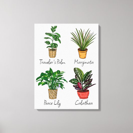 Handgezeichnete Pflanze Wall Art Leinwanddruck (Vorderseite)