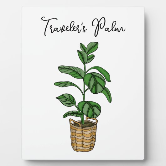 Handgezeichnete Reisenpalme Fotoplatte (Vorderseite)