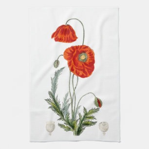 Handgezeichnete rote Mohn-Illustration Mohn Geschirrtuch