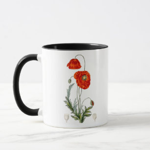 Handgezeichnete rote Mohn-Illustration Mohn Tasse