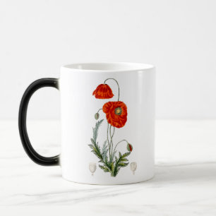 Handgezeichnete rote Mohn-Illustration Mohn Verwandlungstasse