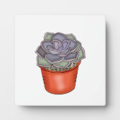 Handgezeichnete Sukkuline Fotoplatte (Vorderseite)