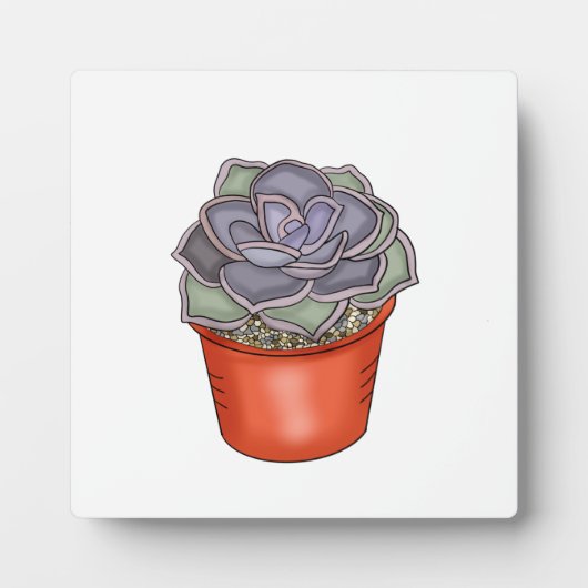 Handgezeichnete Sukkuline Fotoplatte (Vorderseite)