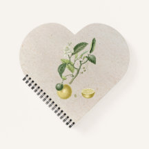 Handgezeichnete wachsende Zitronen