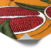 Handgezeichneter Druck mit Grapefruits Poster (Ecke)