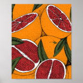 Handgezeichneter Druck mit Grapefruits Poster (Vorne)