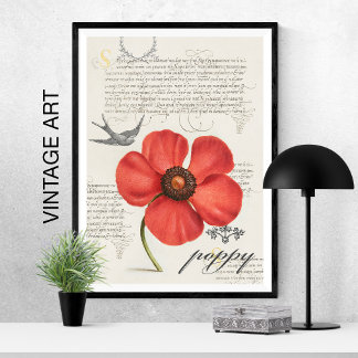 Handgezeichneter Vintage-Roter Mohn 🌸 Schwalbensc Poster