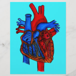 Handgezeichnetes Aqua Anatomisches Herz