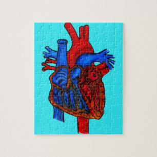 Handgezeichnetes Aqua Anatomisches Herz Puzzle