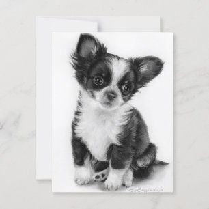 Handgezeichnetes Chihuahua-Welpenwerk Postkarte