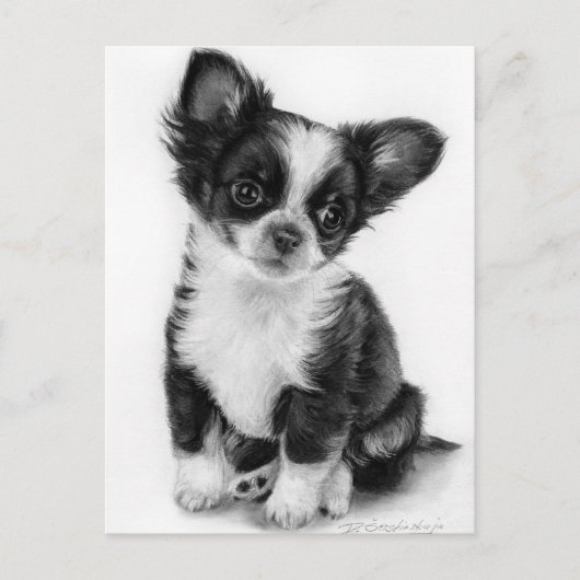 Handgezeichnetes Chihuahua-Welpenwerk Postkarte (Vorderseite)