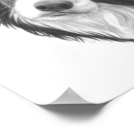 Handgezeichnetes Grenz-Collie-Dog-Portrait Poster (Ecke)