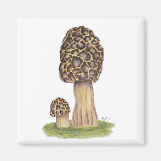 Handgezeichnetes Mushroom Magnet