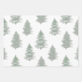 Handgezeichnetes Muster des Evergreen Tree Geschenkpapier Set (Vorderseite)