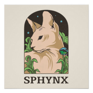 Handgezeichnetes Portrait einer Sphynx-Katze Poster