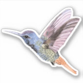 Handgezogener Hummingvogel Aufkleber (Vorderseite)