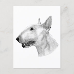 Handgezogenes Bull Terrier Artwork Postkarte