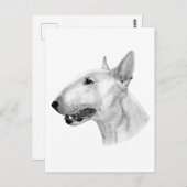 Handgezogenes Bull Terrier Artwork Postkarte (Vorne/Hinten)