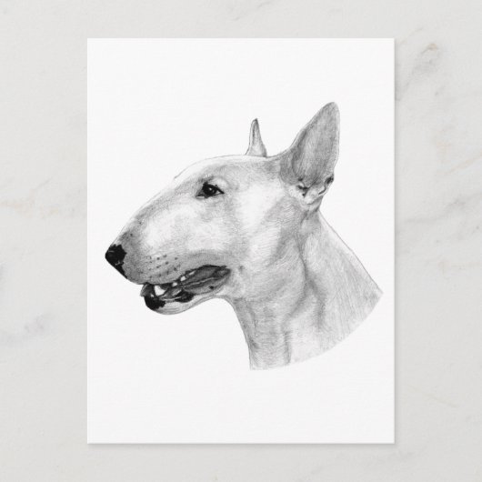 Handgezogenes Bull Terrier Artwork Postkarte (Vorderseite)