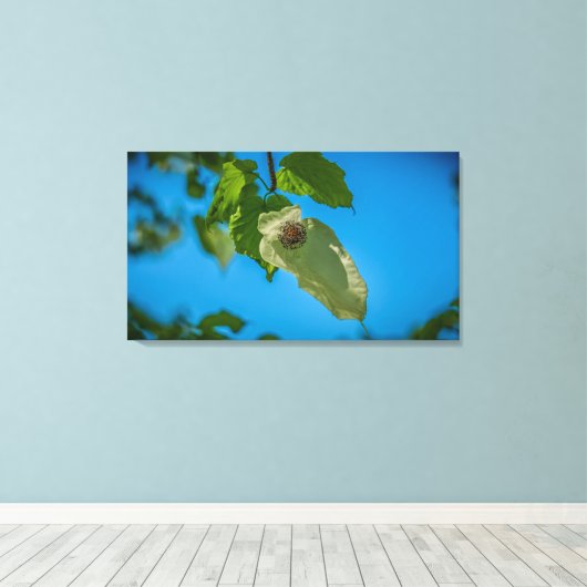 Handkerchef Tree Leinwanddruck (Insitu (Holzboden))