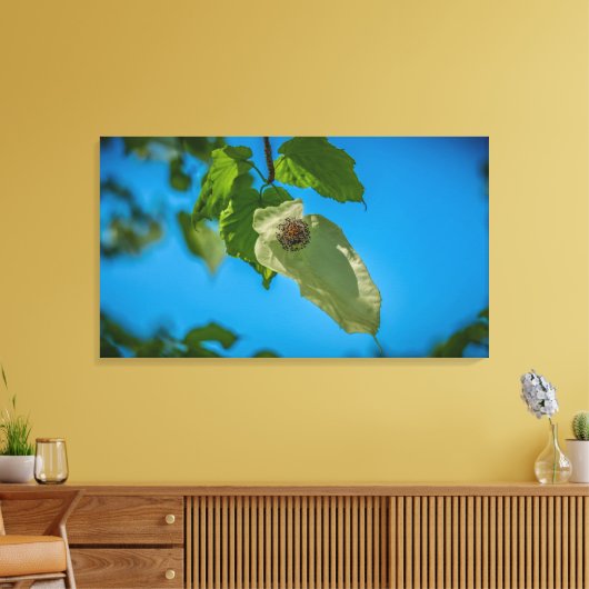 Handkerchef Tree Leinwanddruck (Insitu (Wohnzimmer))