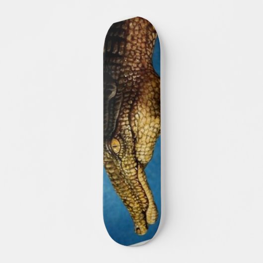 Handkunstfunk Skateboard (Vorne)