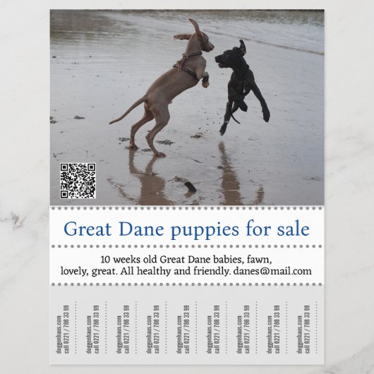 Händlerposter Flyer (Vorne)