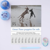 Händlerposter Flyer (Einzeln)