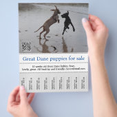 Händlerposter Flyer (Hand)