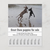 Händlerposter Flyer (Vorne)