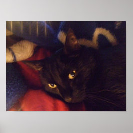 Handliches Black Cat Poster