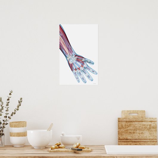 HandLigamente Poster (Küche)