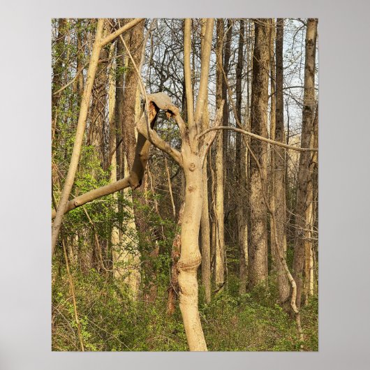 Handlike Tree Poster (Vorne)