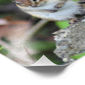 Handlungen des Kindesmissbrauchs, inspirierender C Fotodruck (Ecke)