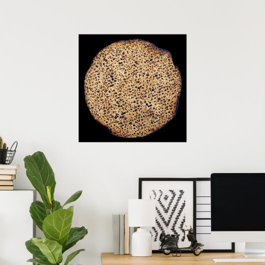 Handmade Shmura Matzah Poster (Heimbüro)