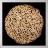 Handmade Shmura Matzah Poster (Vorne)