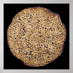 Handmade Shmura Matzah Poster