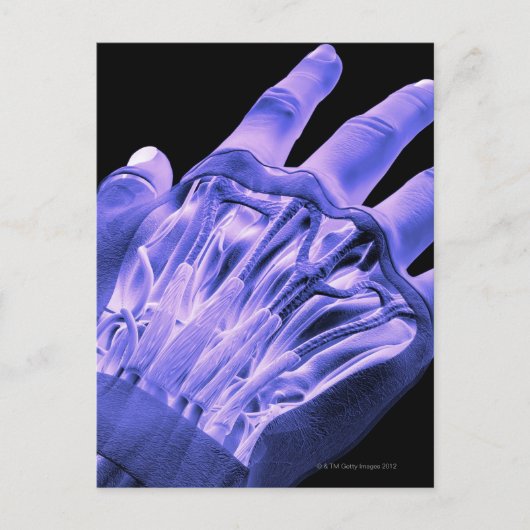 Handmuskeln Postkarte (Vorderseite)