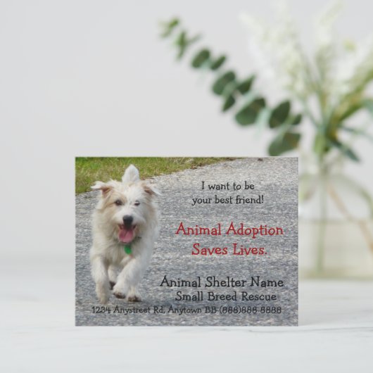 Handout Postkarte (Stehend Vorderseite)