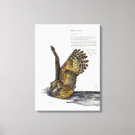 Handpaint gefährdete Owl Print-Leinwand Leinwanddruck