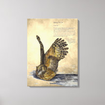 Handpaint gefährdete Owl Print-Leinwand