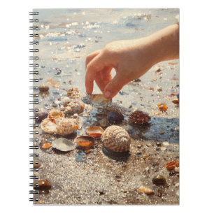 Handpicken Seashells Beach Notebook Notizblock