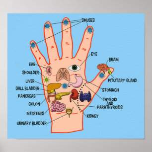 Handreflexologie 13x12" poster